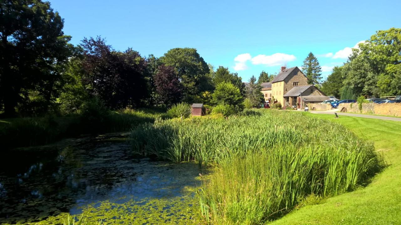 Haselbury Mill Hotel Crewkerne Eksteriør billede